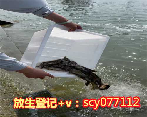 滁州放生要回向吗，滁州放生鳝鱼前要说些什么，滁州放生的鱼去哪买
