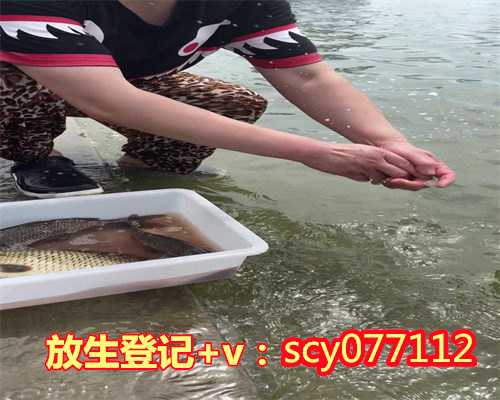惠州可靠的放生网，惠州冬天长江放生什么鱼最好，惠州一般几号放生