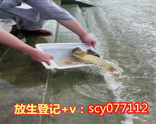 郑州哪里能放生泥鳅，