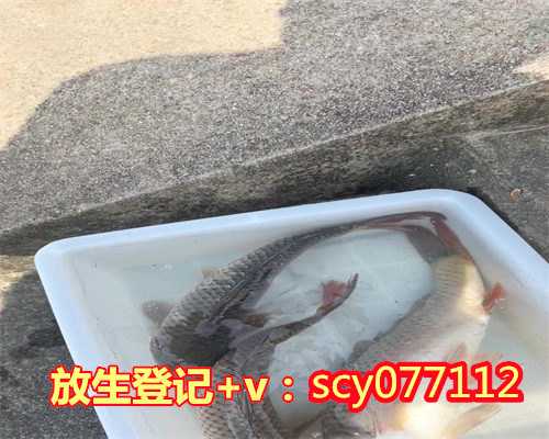黑龙江适合放生虾，黑龙江853农场发现30斤大老鼠是吃转基因玉米所致