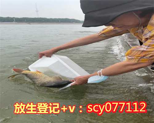 滁州放生表文打法,滁州财鱼放生到哪里最好,滁州放生的鱼从哪里买的