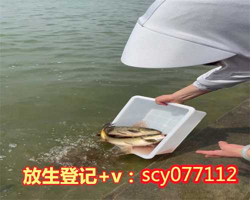 广东何地可以放生黑鱼，广东省整个地区的文化特点？