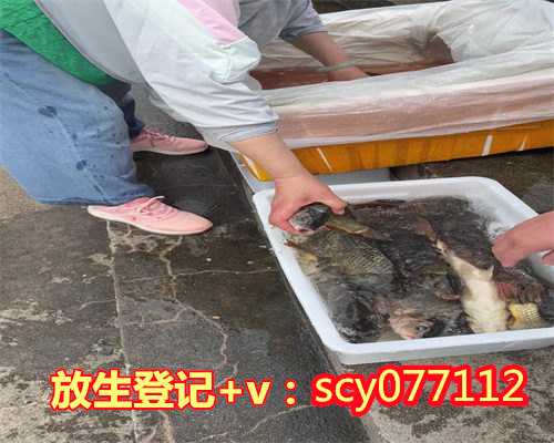 杭州放生鱼一般在什么
