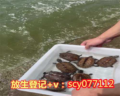 人工养殖的甲鱼放生到河里能活吗