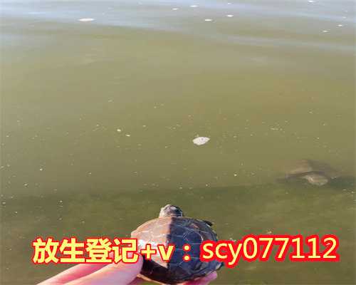 长江放生甲鱼能活吗，盲目给鱼类放生鱼类不易存活