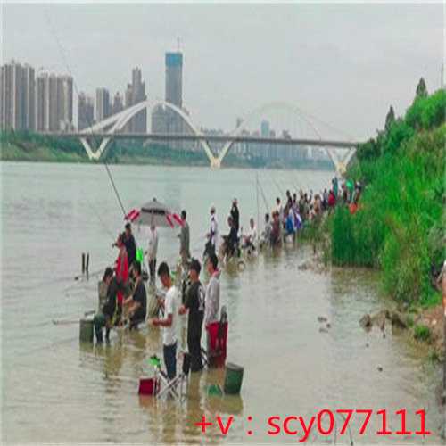 重庆代放生河边地点，“禅艺山水·养生古剑山”研讨会在重庆綦江举行